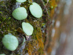 PC022154_m