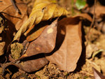 PC022157_m