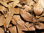 PC022158_m