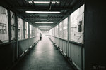 F1000001_m