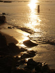 PC073154_m