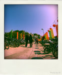P2035535-pola_s