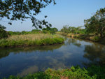 PB015298_m