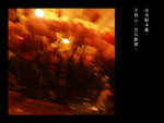 
004. Fluc.