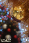 DSCF0345