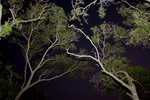 DSCF2057