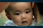 Pic12_800