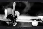 IMG_8102