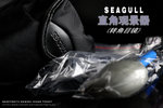 Seagull3