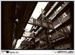 IMG_2103 b