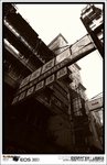 IMG_2104 b