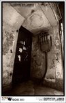 IMG_2117 b