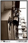 IMG_2139 b