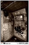 IMG_2144 b