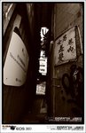 IMG_2149 b