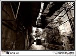 IMG_2164 b