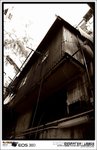 IMG_2166 b