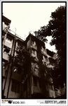 IMG_2168 b