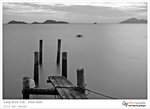 IMG_0463