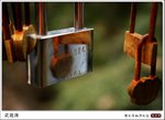 
�P����03