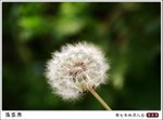 IMG_2769