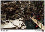 IMG_0995