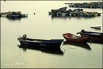 D20_6693f