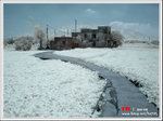 IMG_8879ab