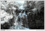IMG_9147ab
