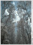 IMG_9222ab