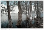 IMG_9231ab
