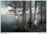 IMG_9232ab