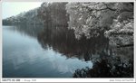 IMG_9238ab