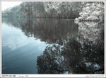 IMG_9244ab