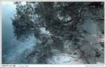 IMG_9245ab