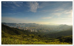 HAA_0275b
