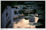 HAA_5463b
