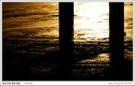 D20_8275abb