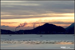 D20_8323f