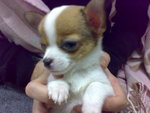 200812232390