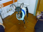200812232391