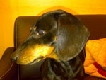 200812232396