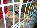 200812232400