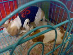 200812232401