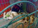 200812232402