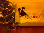 20071124810
