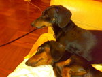 20070508067
