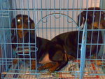 200805161428