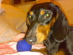 20070705435