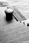 DSC0037